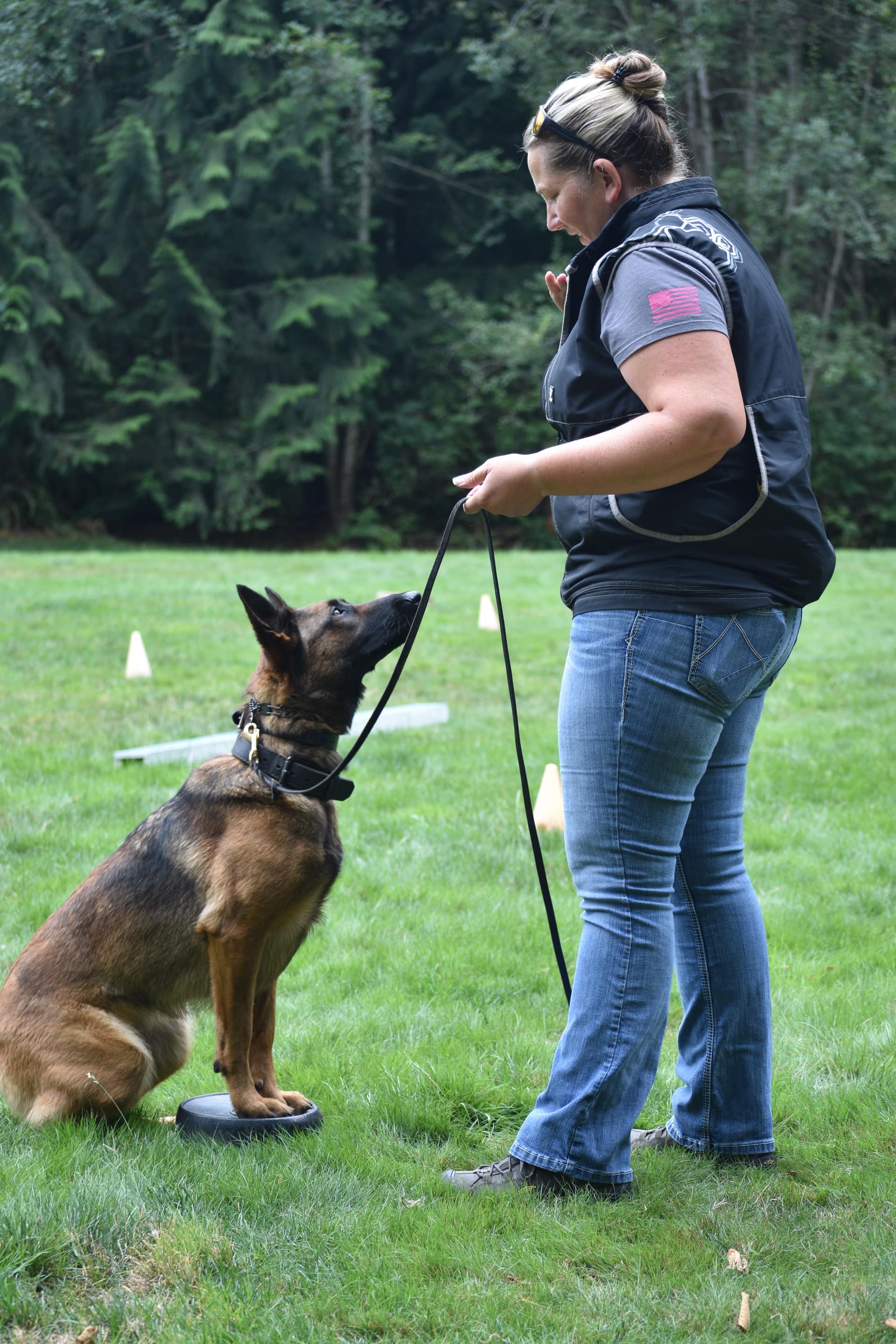StormsAshk9 Belgian Malinois training program