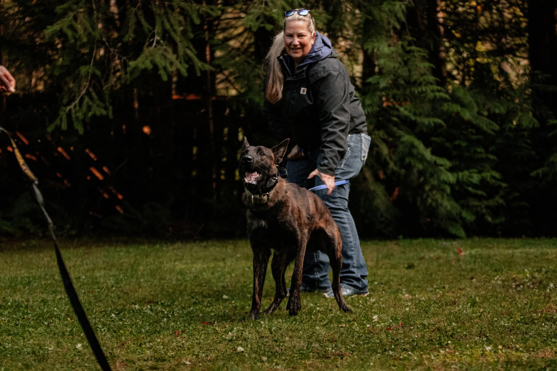 StormsAshk9 training session