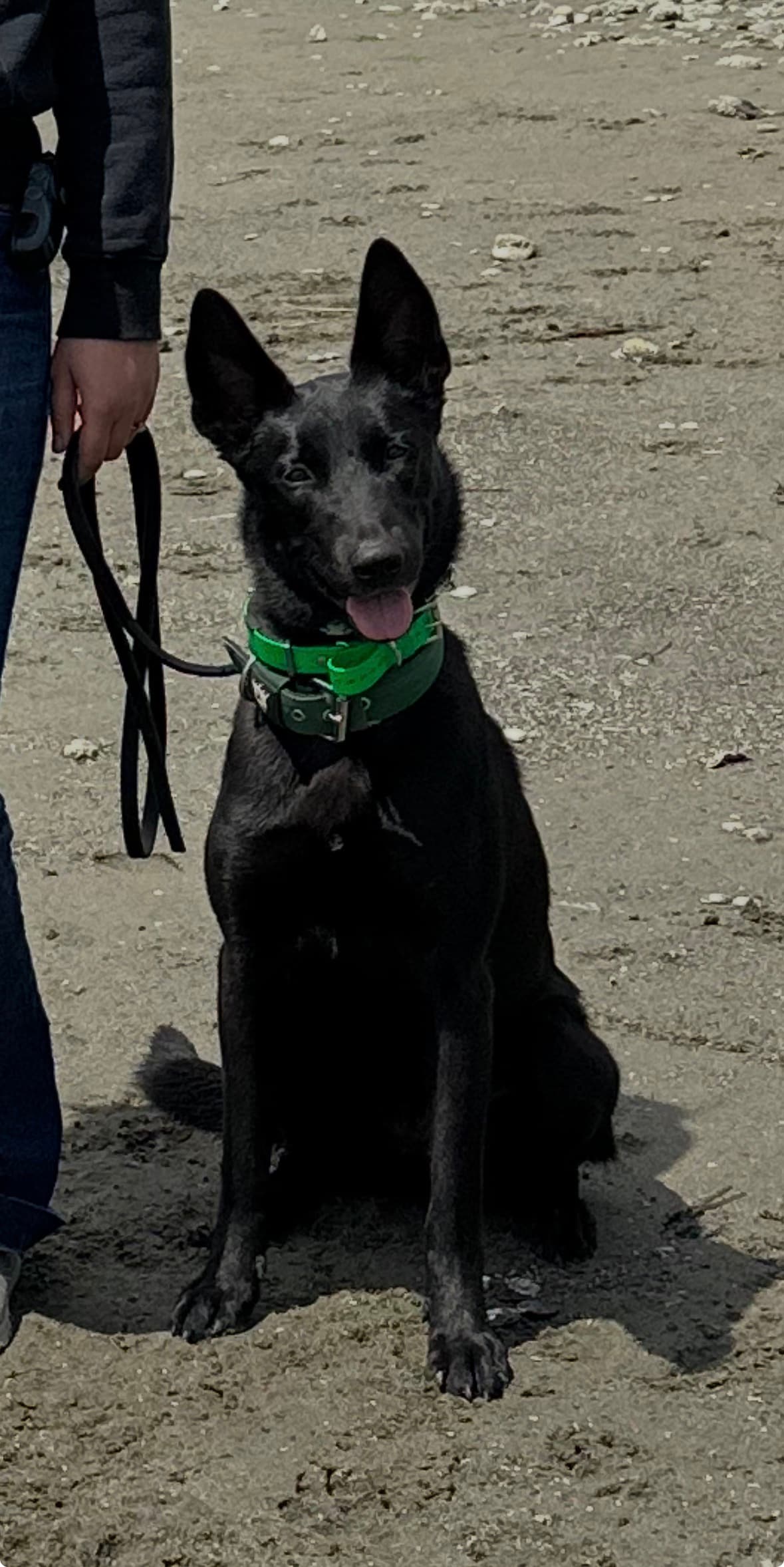 Shar — Dam, StormsAshk9